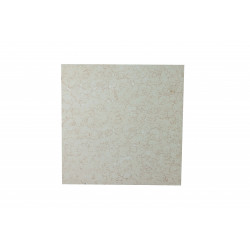 PAVIMENTO CERAMICO 300X300X7 5 MM    REF: 1532